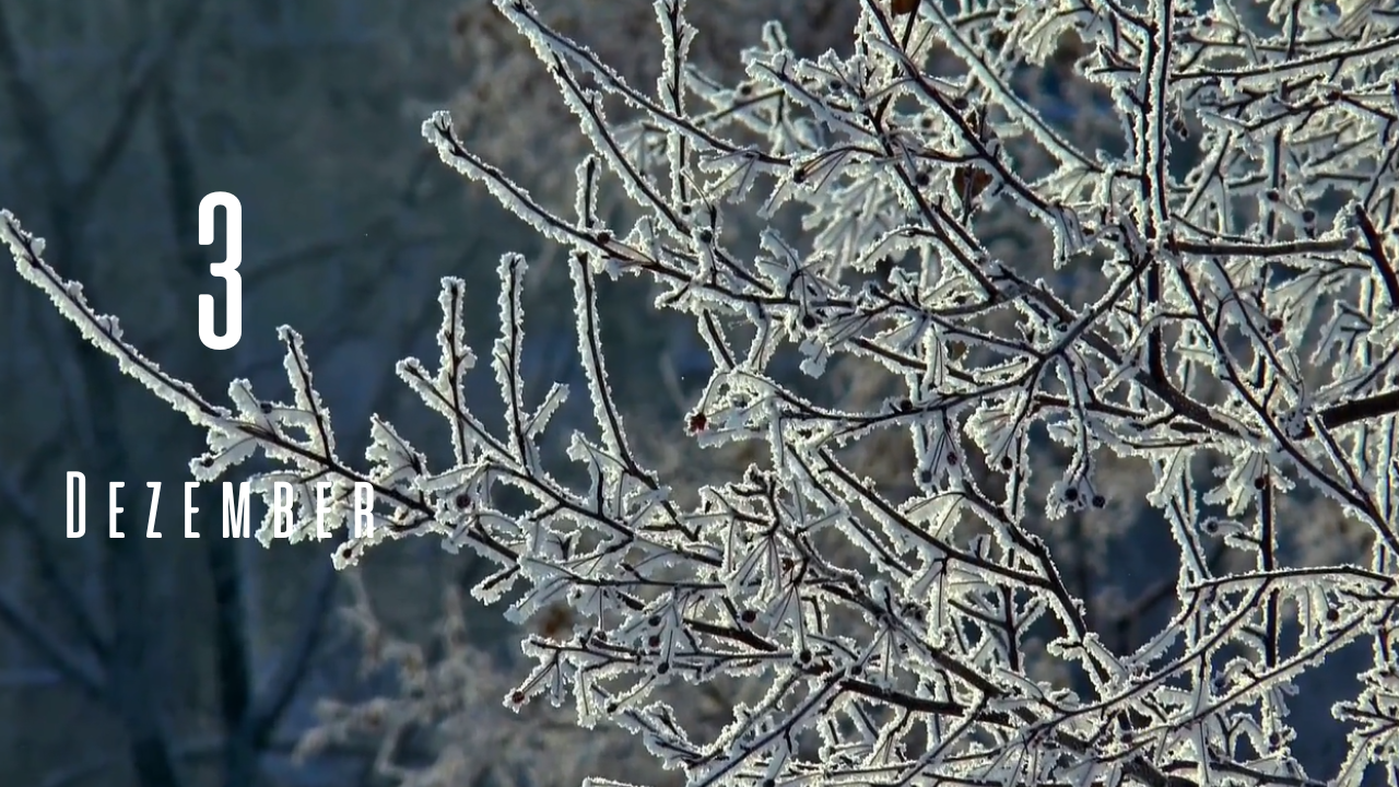 A 20-nie-Adventskalender 2025